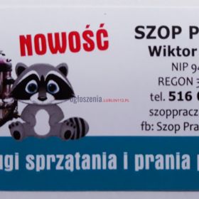 pranie tapicerki samochodowej i meblowej