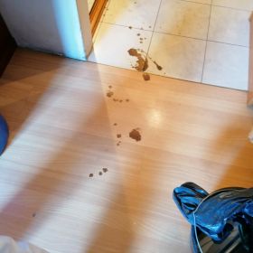 Chełmno Dezynfekcja czyszczenie miejsc śmierci