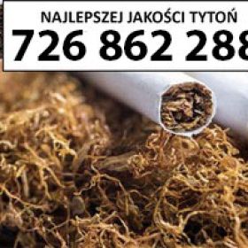 PREMIUM Jakości TYTOŃ 85 PLN / 1KG