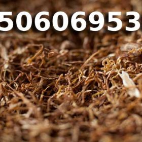 Extra jakości TYTOŃ z akcyzą! 85 PLN / 1KG